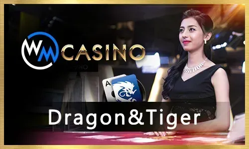 Exclusive Bonuses